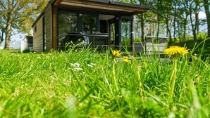 A modern, single-story building with large windows, surrounded by lush green grass and dandelions. - Houseboat Doeke Sleat bij Leeuwarden (Weidum)