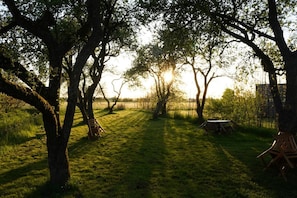 Un espace extérieur verdoyant, avec des arbres et une table de pique-nique.