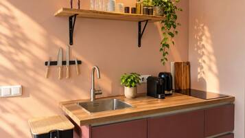 A modern kitchen with a wooden countertop, stainless steel sink, and a hanging plant.