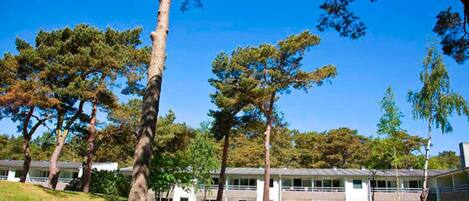 ハウス | 施設の敷地