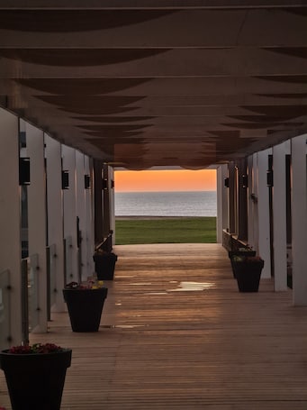 Terraza o patio. Torrecillas Carilo