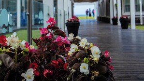 Une allée couverte, agrémentée de plantes en pot, d’où l’on peut admirer la mer.