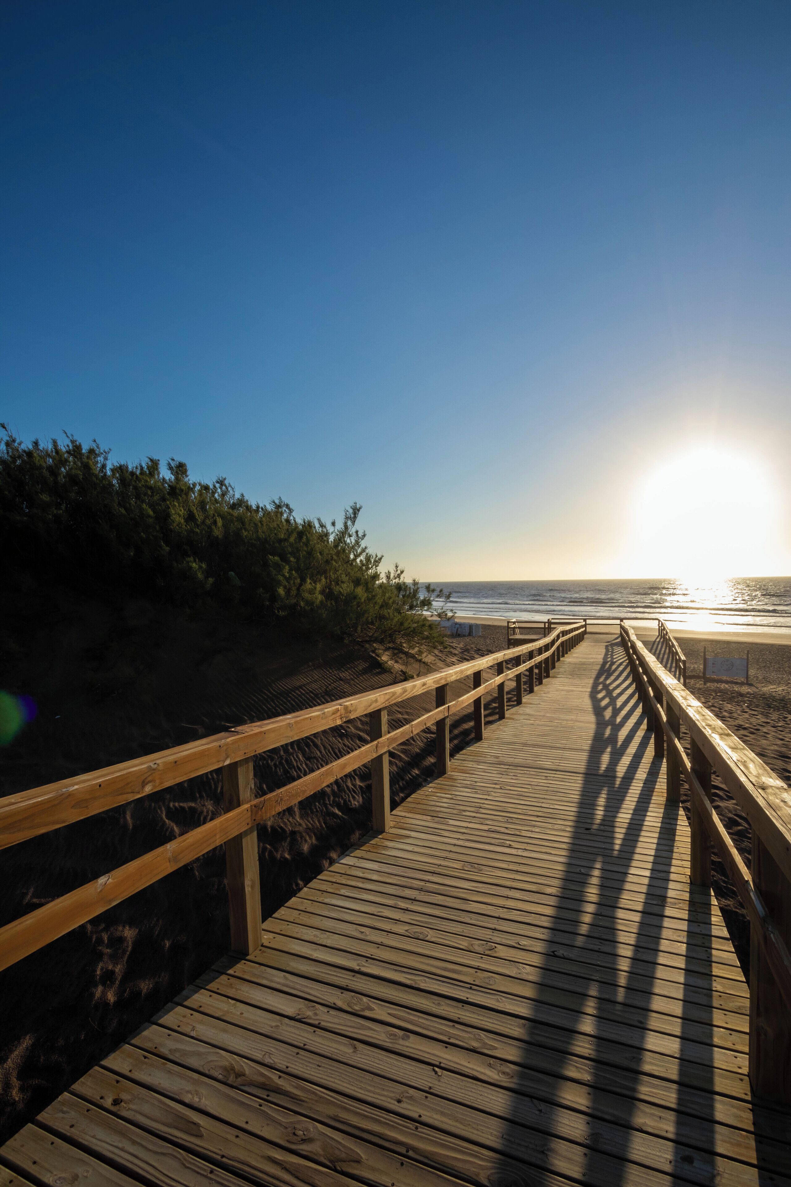 A wooden boardwalk leading to a beach with a clear sky and the sun shining.