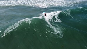 Miscellaneous - Spend a week ON the beach! Peaceful small property by Hilton. (Stuart)