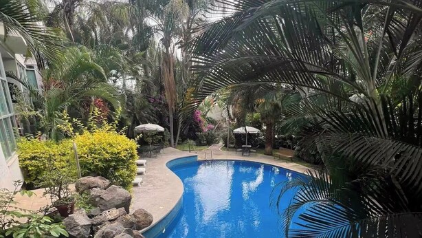 Une piscine entourée de plantes tropicales et de rochers, avec une surface d’eau d’un bleu limpide.