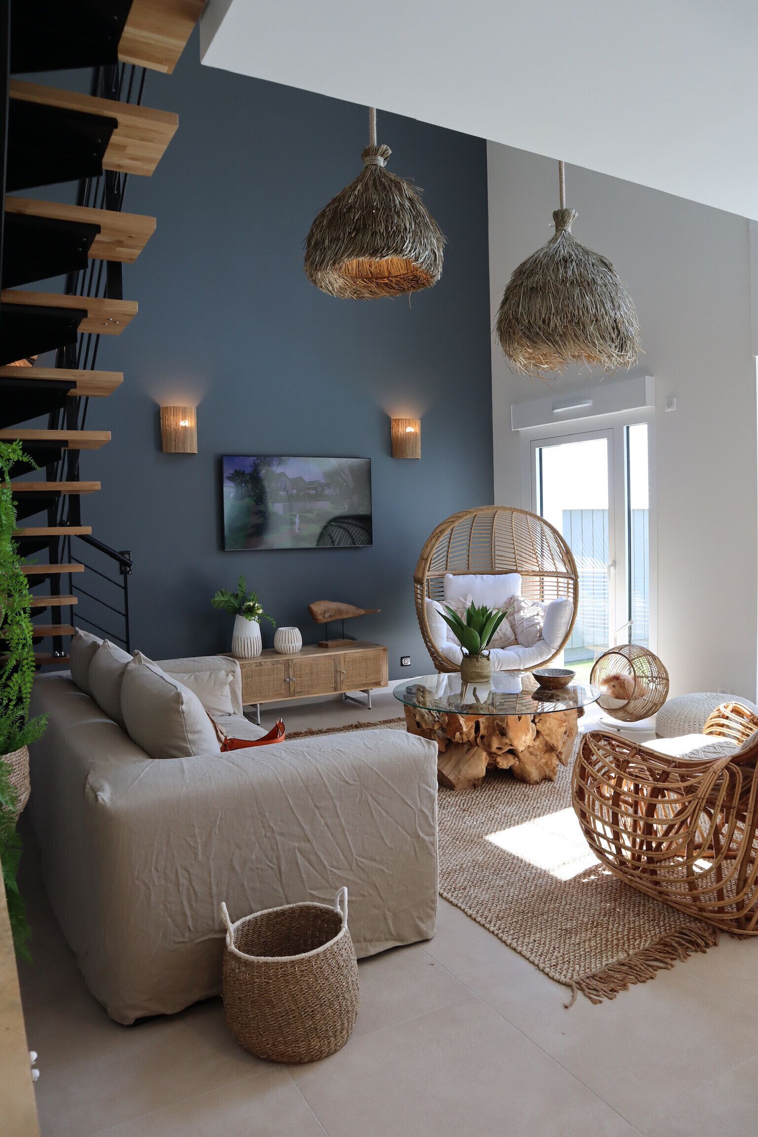 TV