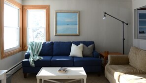 Älytelevisio, DVD-soitin, kirjoja, videokirjasto