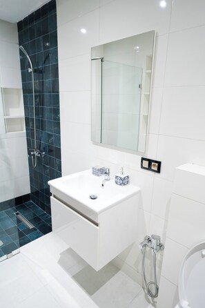 Ducha, secador de pelo, toallas y jabón