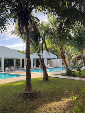 Un área de piscina con sillones de descanso y palmeras.