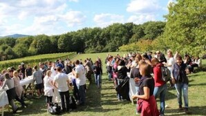 A group of people gathered outdoors in a grassy area with trees and hills in the background.