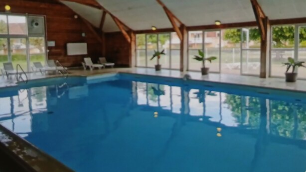 Una piscina interior amb aigua blava cristal·lina, bigues de fusta i plantes en testos.