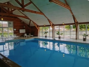 An indoor swimming pool with clear blue water, wooden beams, and potted plants. - Charming Apartment with a Swimming Pool   (Boulleville)