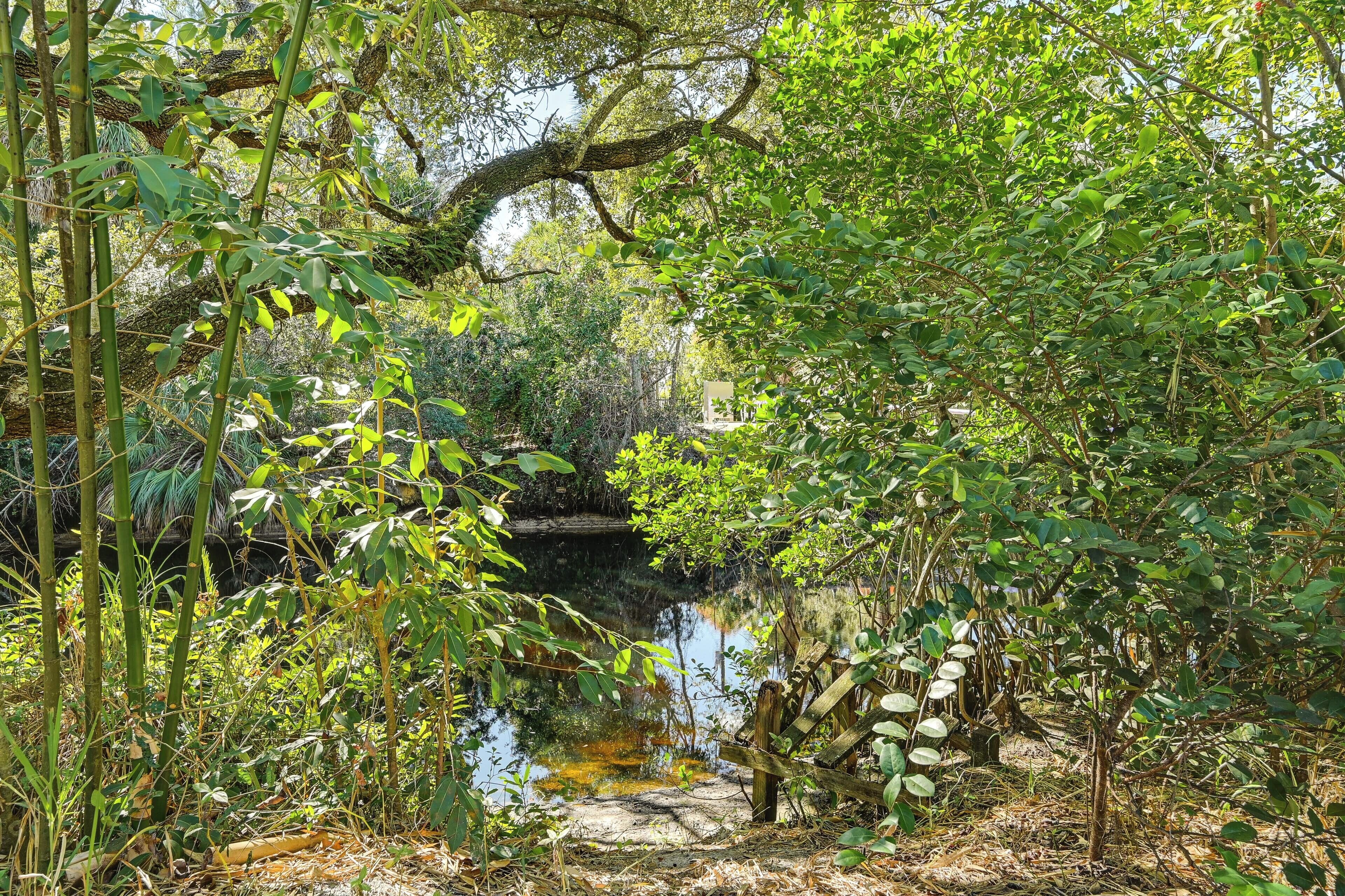 A natural landscape with a water body, dense foliage, and a wooden bridge.