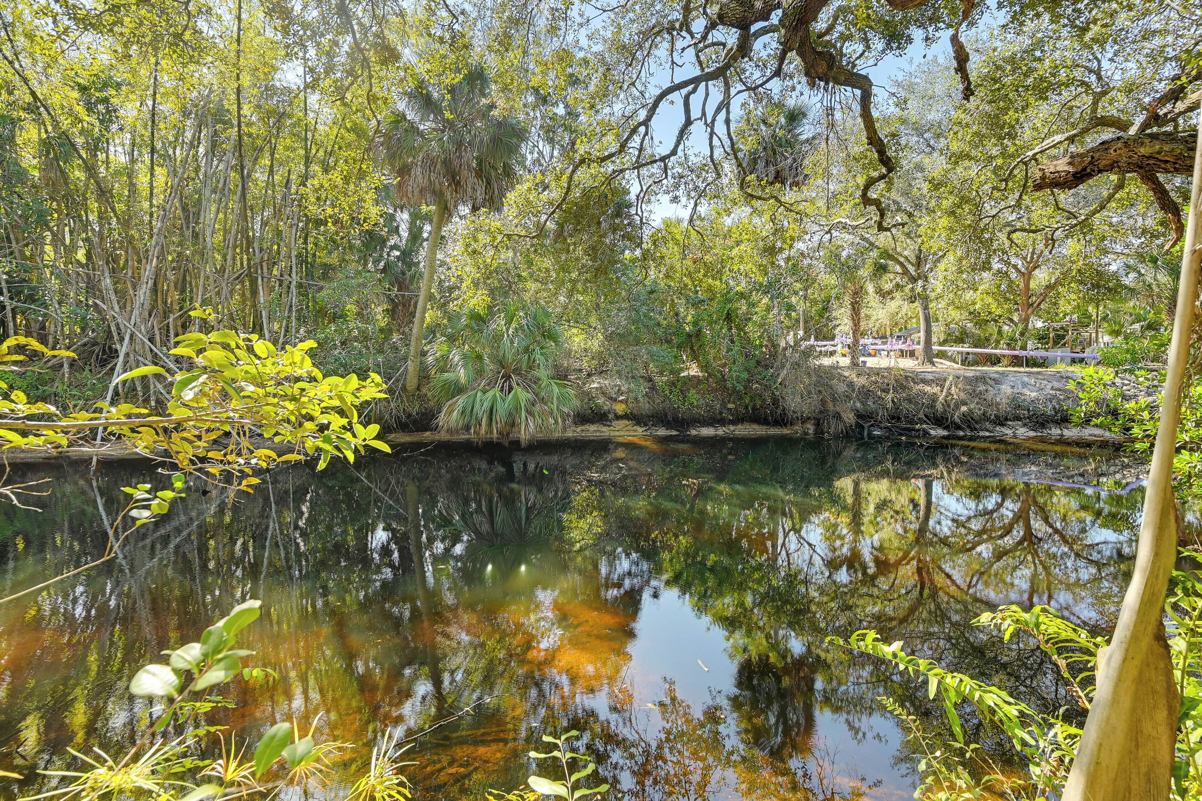 A serene pond surrounded by dense foliage and trees.