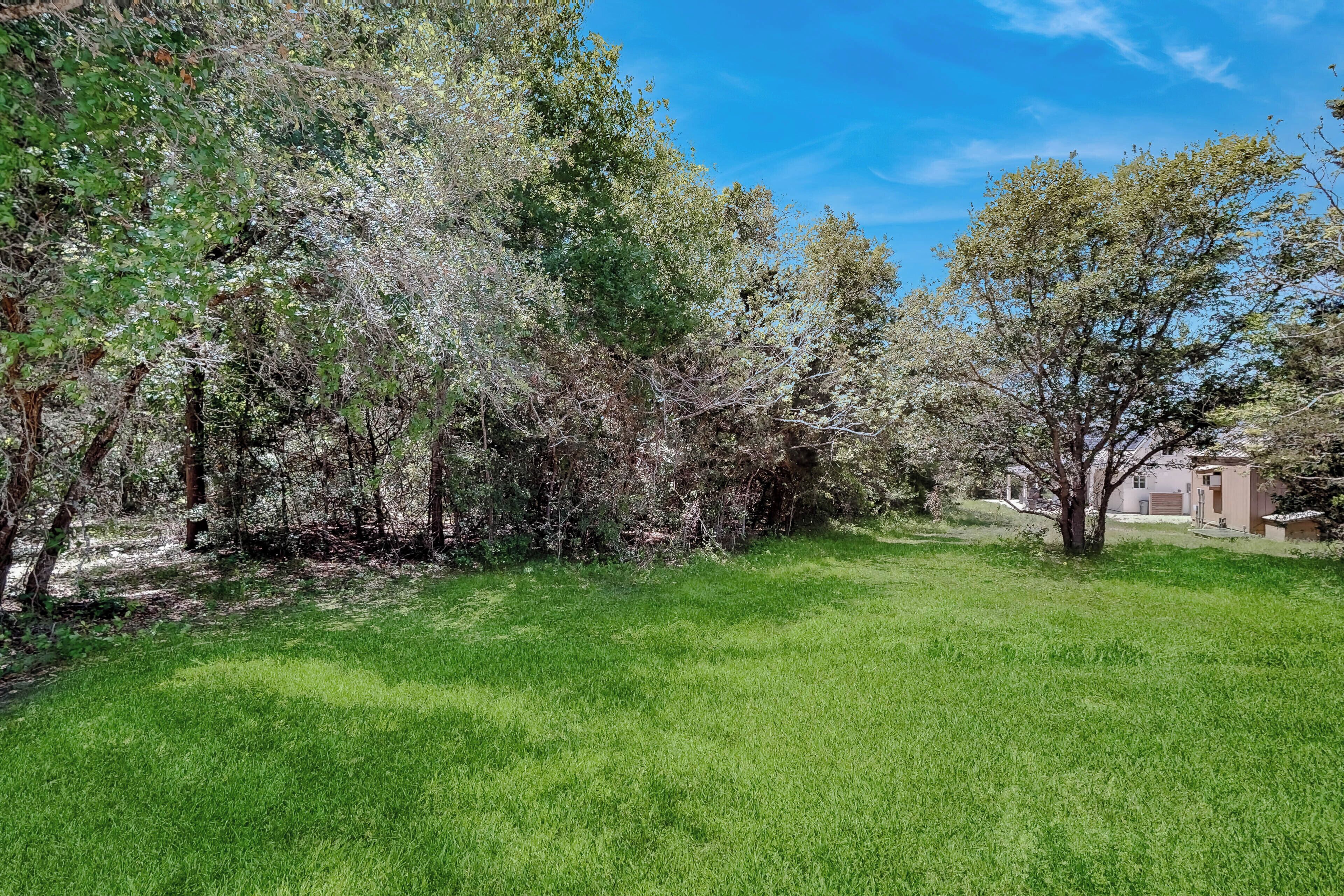 A grassy area with trees and a building in the background.