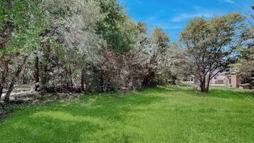 A grassy area with trees and a building in the background.