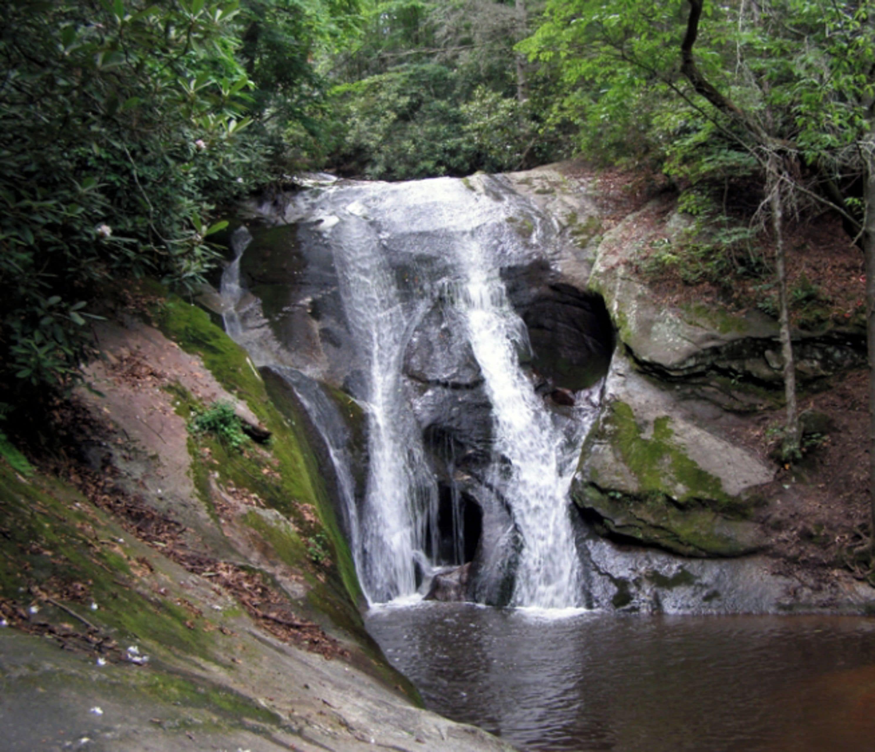 A waterfall cascading over a rocky cliff into a pool, surrounded by dense forest.