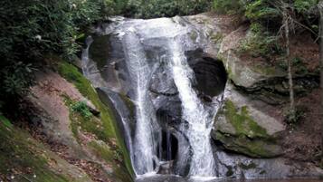 A waterfall cascading over a rocky cliff into a pool, surrounded by dense forest.