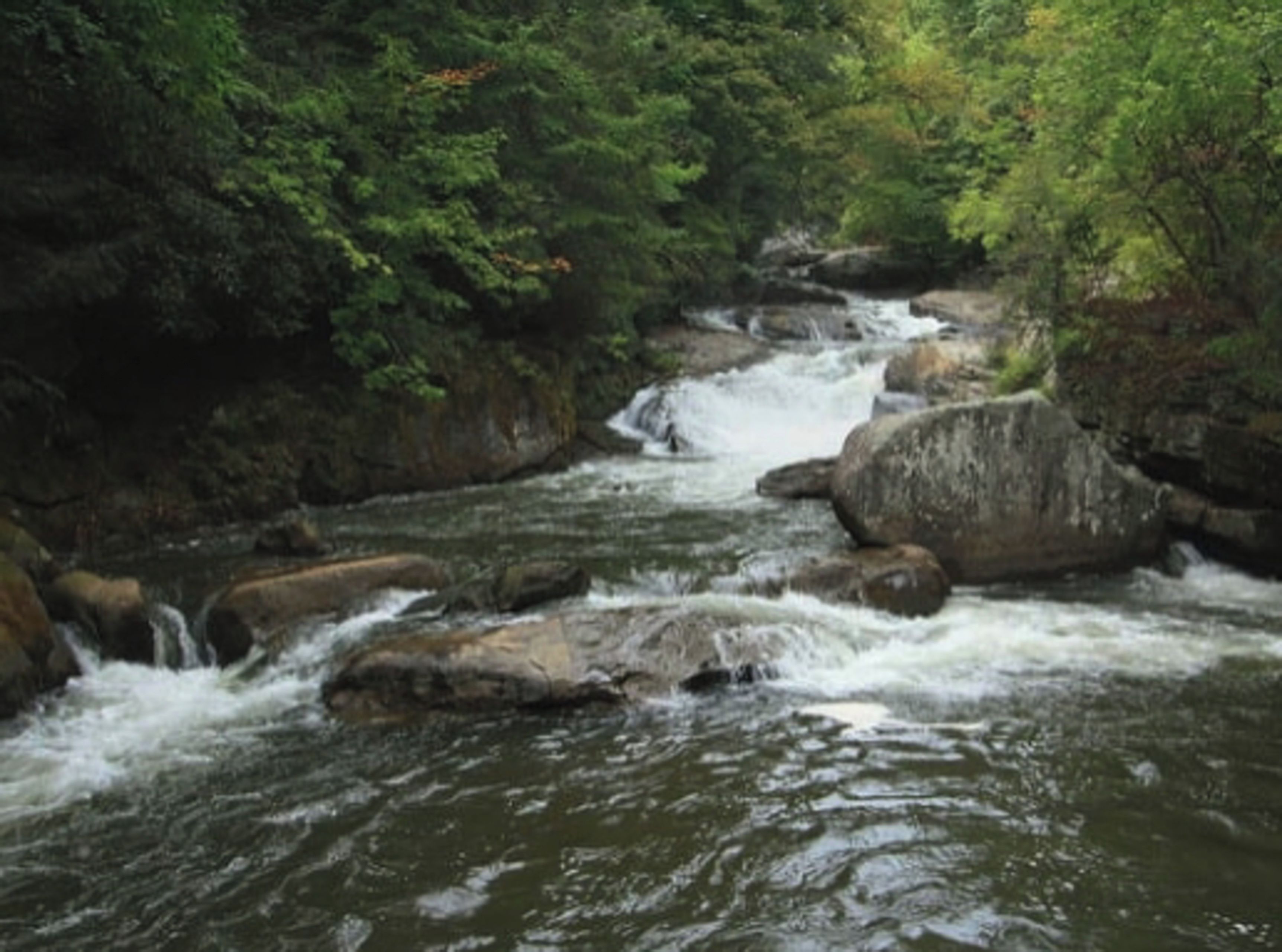 A river flowing through a rocky landscape with dense foliage.