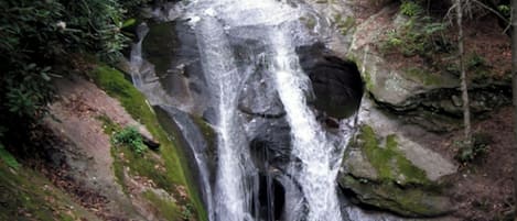 Una cascata si getta da una scogliera rocciosa in una pozza circondata da una fitta foresta.