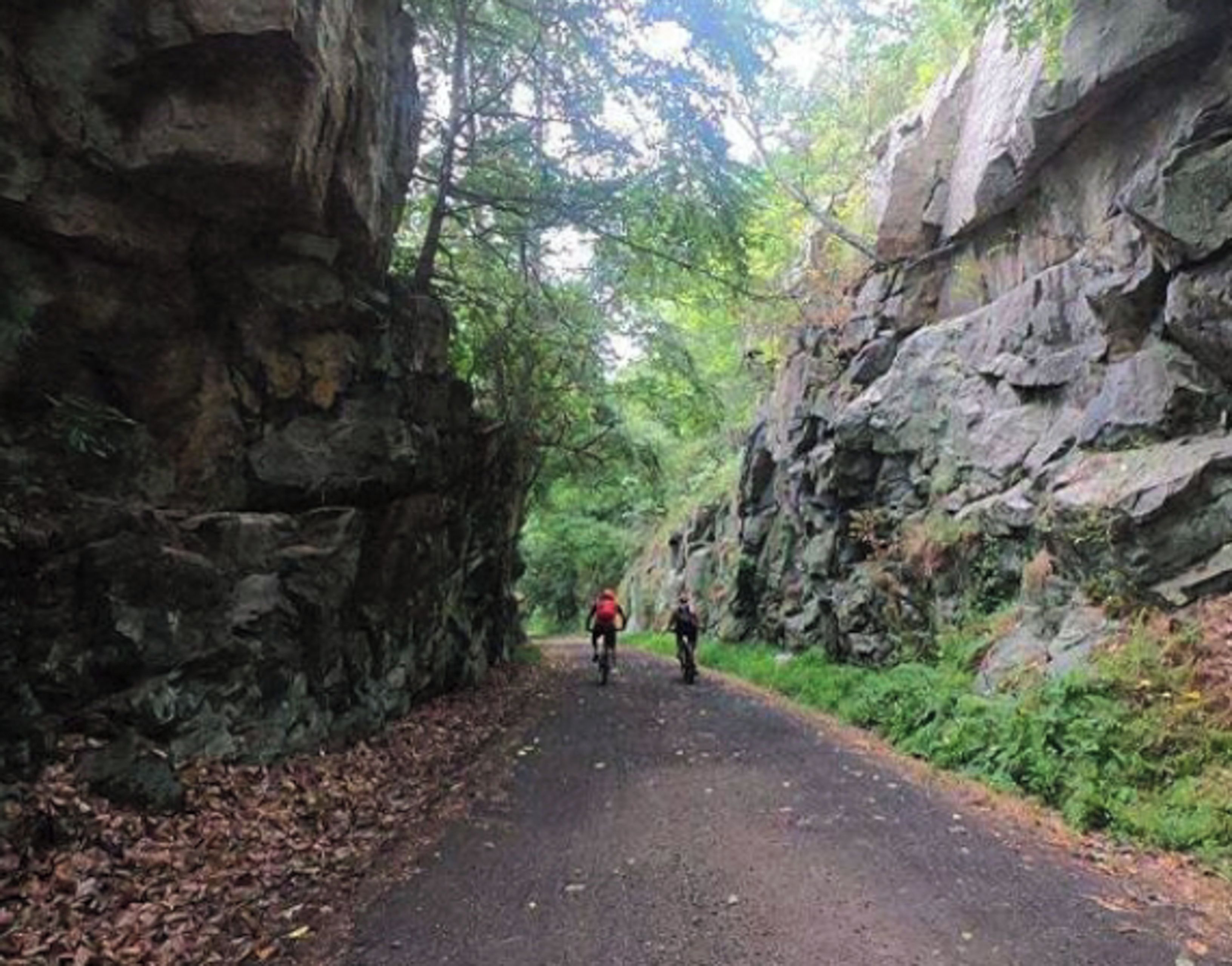 Une route étroite et pavée, bordée de falaises rocheuses et d’une végétation luxuriante.