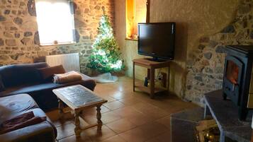 Télévision, cheminée, lecteur de DVD