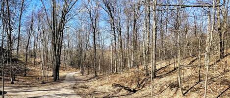 Departamento (1 Bedroom) | Interior