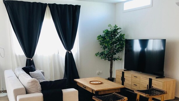 Ein modernes Wohnzimmer mit einer Couch, einem Couchtisch, einem Fernseher und einer Pflanze.
