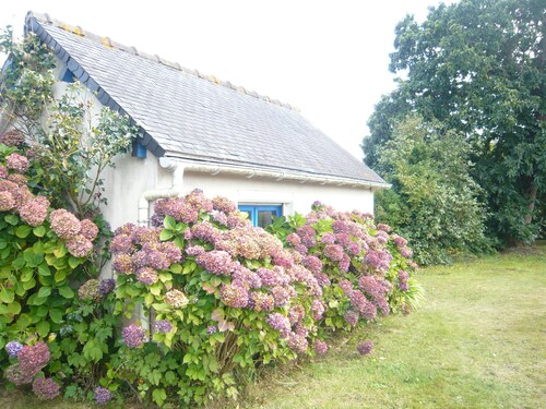 "Châtaigne", entre terre et mer