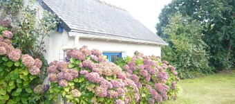 "Châtaigne", entre terre et mer