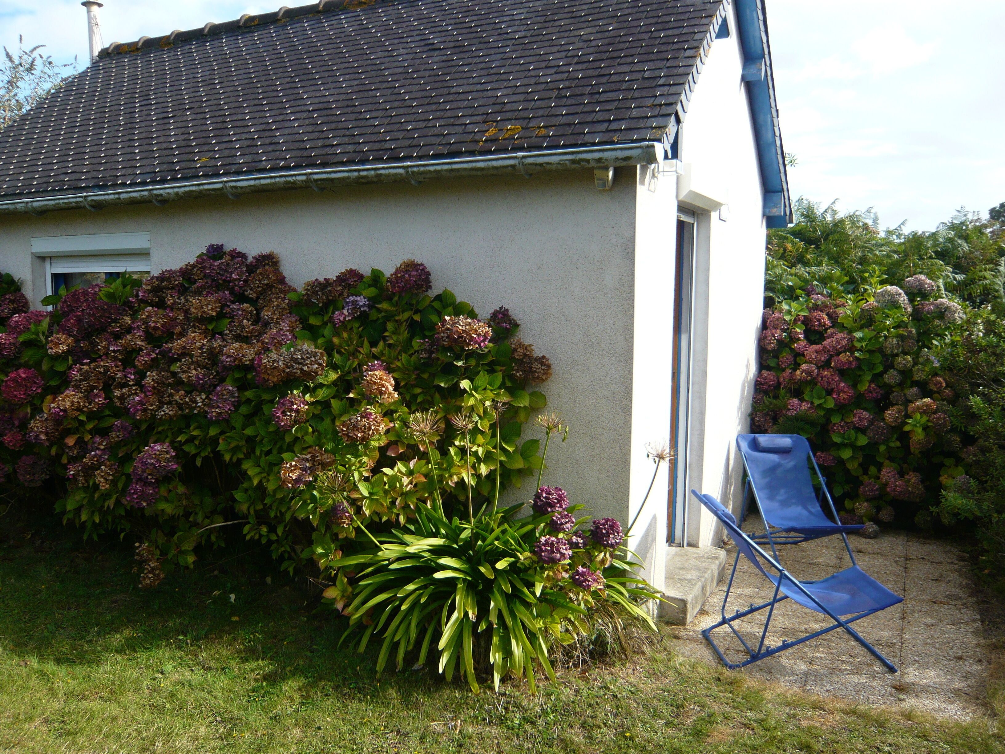 A house with a tiled roof, a garden with hydrangeas, and a blue folding chair.