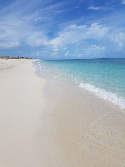 Great for reunions! Rent by the room. Dine together!