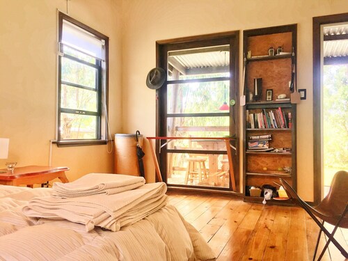 CABIN IN THE FOREST OF THE URUGUAYAN COAST