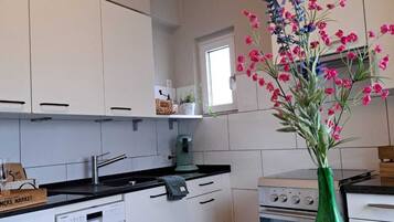 Kühlschrank, Ofen, Herdplatte, Geschirrspüler