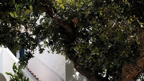 A staircase with white walls and blue shutters, leading to a door. - White Blue Villa formerly Ippocampi (Hersonissos)