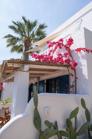 A white building with a palm tree and pink bougainvillea. - White Blue Villa formerly Ippocampi (Hersonissos)