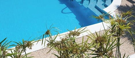 Una piscina de borde curvo, rodeada de mobiliario de exterior y plantas.