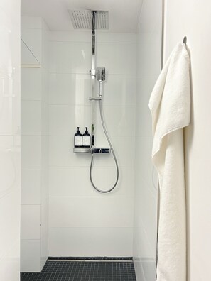 Hair dryer, towels, soap, shampoo