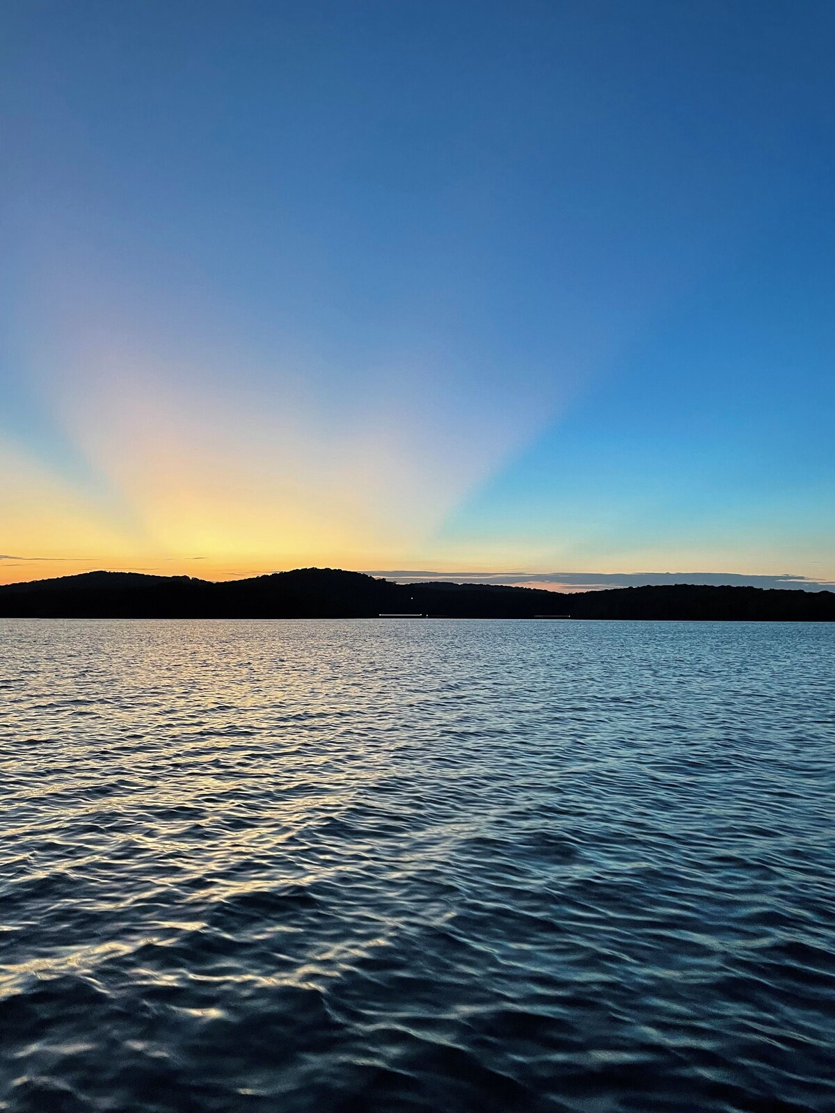 Imagen de perfil del propietario o de la propietaria