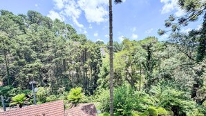Un quartier résidentiel où se trouve une maison avec un toit recouvert de tuiles rouges, entourée d’une végétation luxuriante et de grands arbres.