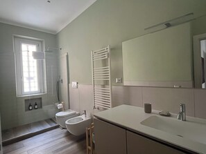 Regadera, secadora de cabello, bidet, toallas 