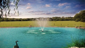 Ein ruhiger Pool im Freien mit einer Springbrunnenanlage, umgeben von einer Rasenfläche und Bäumen.