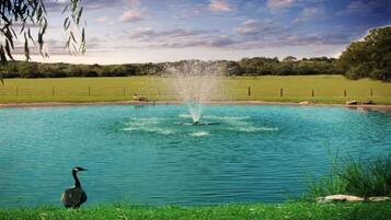 Enceinte de lâhĂ©bergement