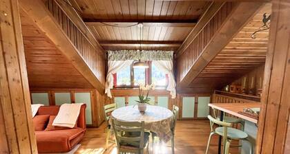 Renovated Mountain View Apartment - Auronzo di Cadore