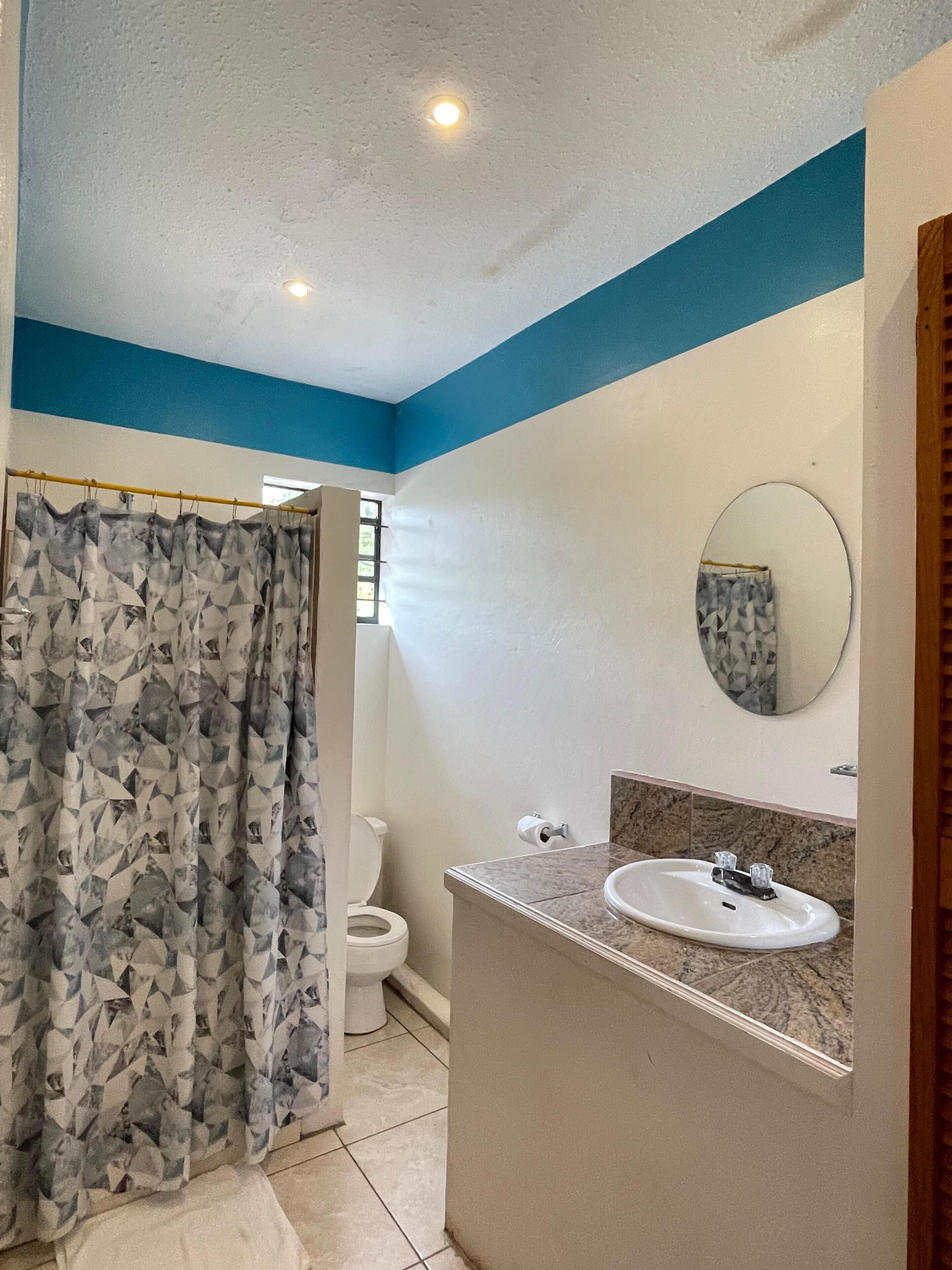 Standard Double Room, Non Smoking | Bathroom | Shower, towels, soap, shampoo