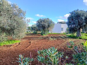 Property grounds - Casa Tosca - Relax nella natura (Santo Pietro)