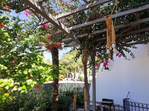 Property grounds - Villa Sofia - San Pietro in Bevagna (San Pietro In Bevagna)