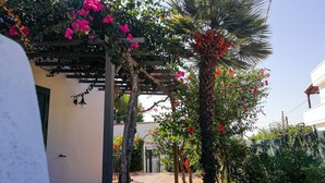 Een overdekt buitengebied met een pergola, bloeiende planten en een palmboom.