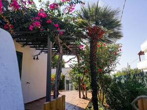 Property grounds - Villa Sofia - San Pietro in Bevagna (San Pietro In Bevagna)