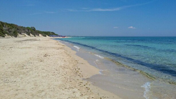 Een strand met helder turquoise water, een zandstrand en schaarse begroeiing.